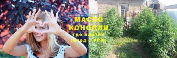 ГАЛЛЮЦИНОГЕННЫЕ ГРИБЫ Гусев